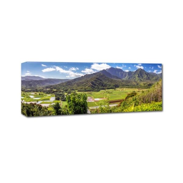 Pierre Leclerc 'Hanalei Kauai' Canvas Art,10x32